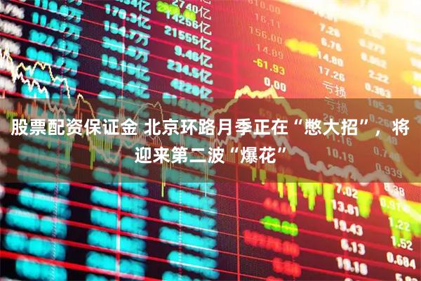 股票配资保证金 北京环路月季正在“憋大招”，将迎来第二波“爆花”